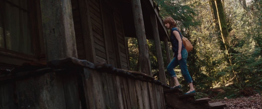 Cabin in the Woods Still