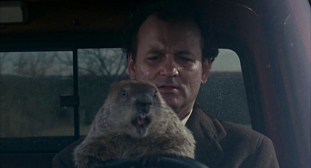 Groundhog Day Still