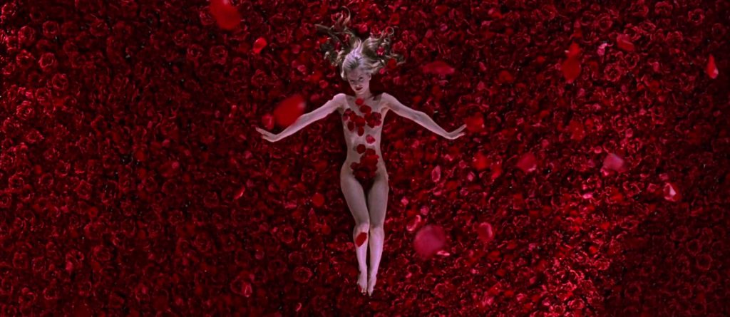 American Beauty Still