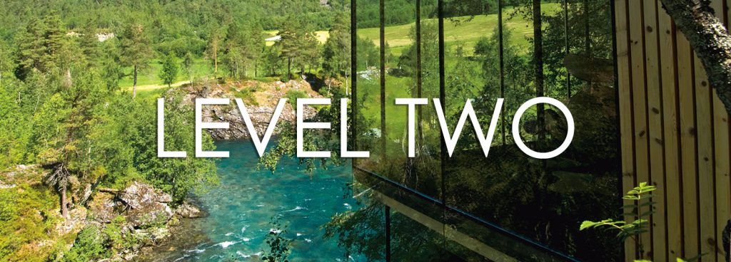 Level Two - Mountain Cabin | Rowesk Level Up